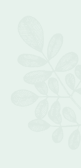 Leaf Creative